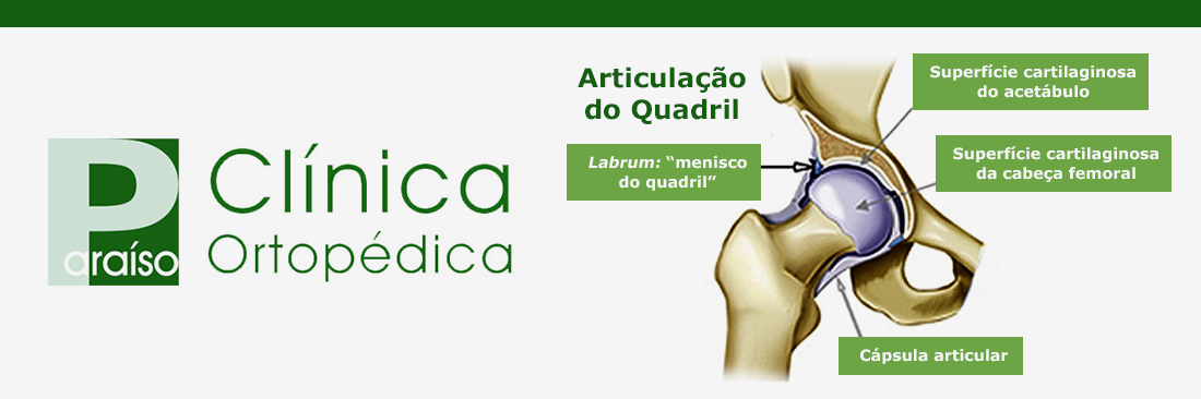 Anatomia do Quadril